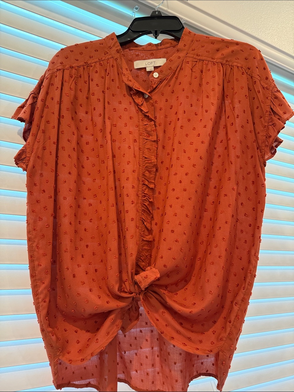LOFT Rust Ruffle-Front Dot Blouse - Picture 6 of 6